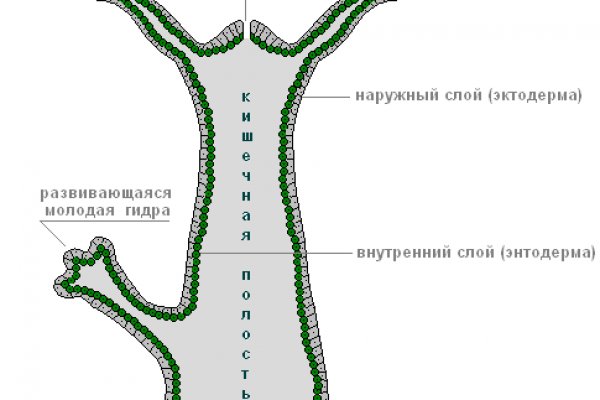 Как пополнить кракен