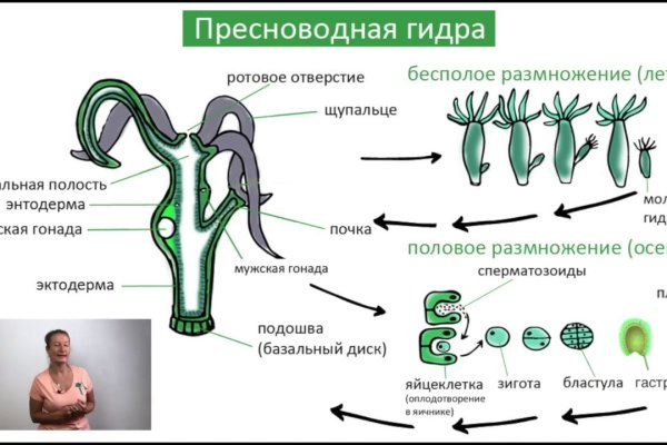 Как зайти на кракен kraken clear com