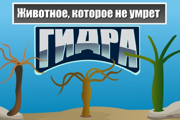 Кракен дарк площадка