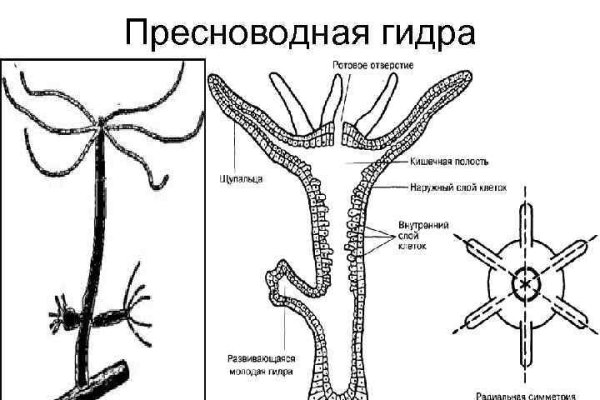 Кракен ориг ссылка